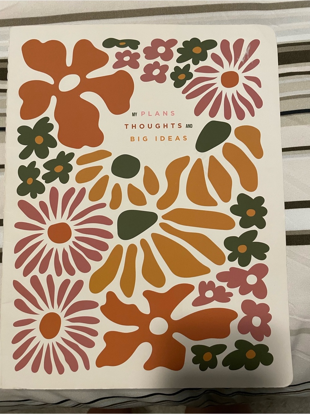 Brand new Planner Plans thoughts big ideas beautiful 3 birds planner NEW
